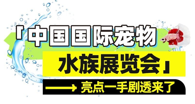 如何報名參加長城杯龍魚錦標賽