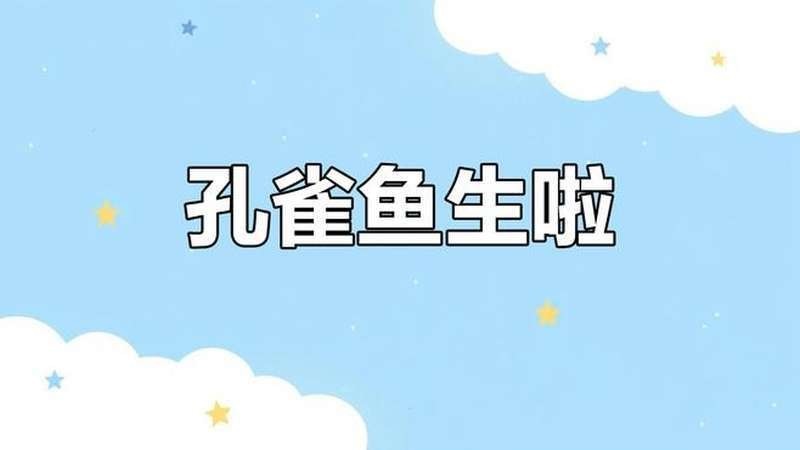 有沒有孔雀魚比賽的視頻欣賞？