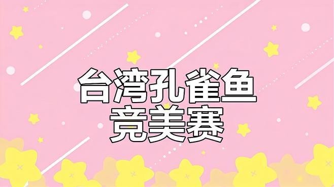 有沒有孔雀魚比賽的視頻欣賞？