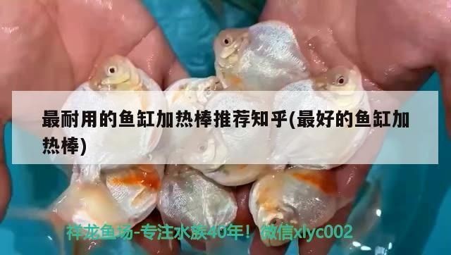 魚缸加熱棒測評：魚缸加熱棒使用安全須知，