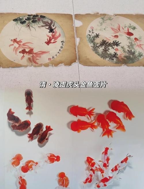 北京恭王府金魚特展門票價格是多少？