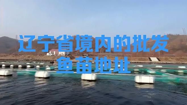 附近最近的賣魚苗的地址
