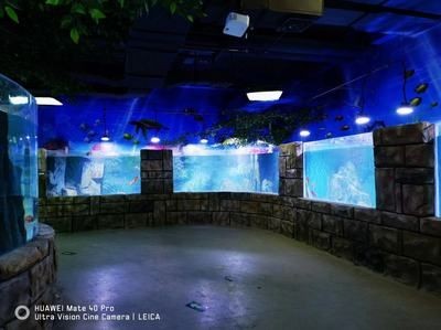 異形魚缸適合放沙子嗎：異形魚缸適合放沙子嗎異形魚缸適合放沙子嗎