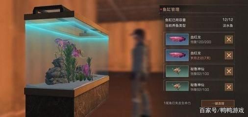 海水紅龍魚學(xué)名：關(guān)于紅龍魚的詳細(xì)信息