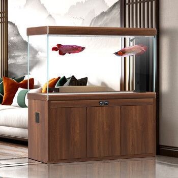 漢霸魚缸屬于品牌嗎：漢霸魚缸怎么樣
