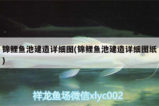 錦鯉魚池建造詳細圖(錦鯉魚池建造詳細圖紙)
