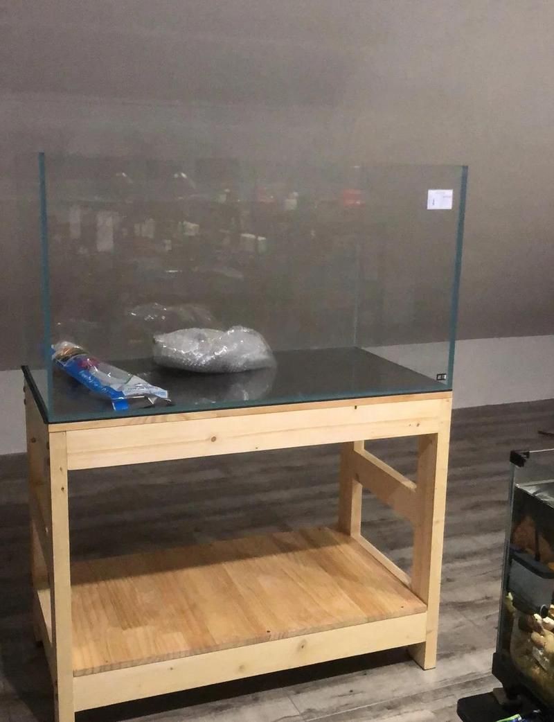 虎紋巨頭哪個好