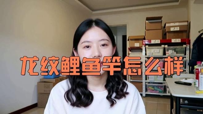 如何挑選適合自己的長節龍紋鯉型號？