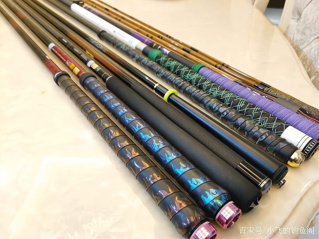 如何挑選適合自己的長節龍紋鯉型號？