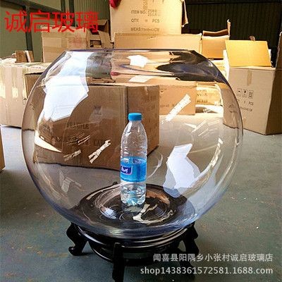 景觀魚缸價格：景觀魚缸價格一般多少