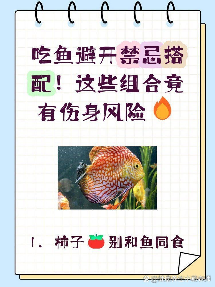 紅勾丁銀板魚最忌三種食物