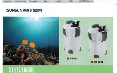 魚缸過濾器的使用對(duì)于維持魚缸水質(zhì)的健康至關(guān)重要：如何正確安裝魚缸過濾器？