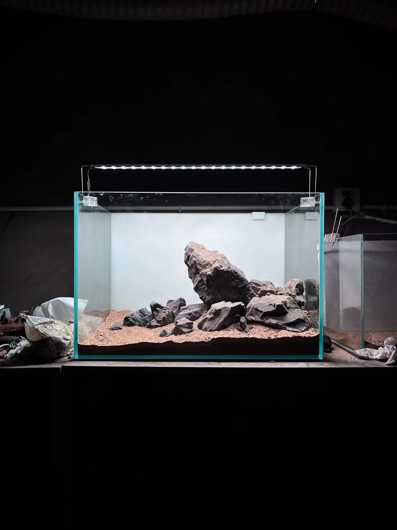 60草缸造景圖比賽作品