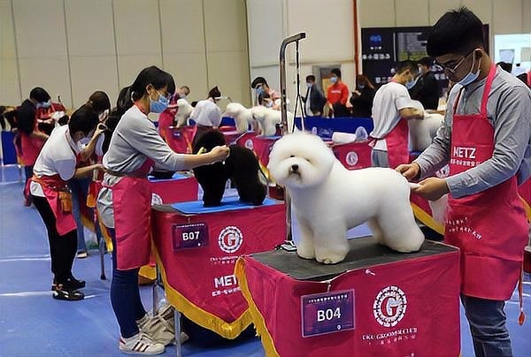 長城杯世界金魚錦標賽2021年