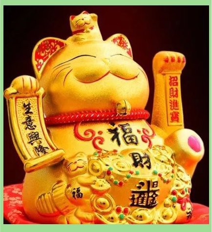 短身招財貓魚