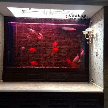 生態(tài)魚(yú)缸的設(shè)計(jì)原理是什么？：無(wú)錫鴻顏水族生態(tài)魚(yú)缸設(shè)計(jì)原理生態(tài)魚(yú)缸的設(shè)計(jì)原理