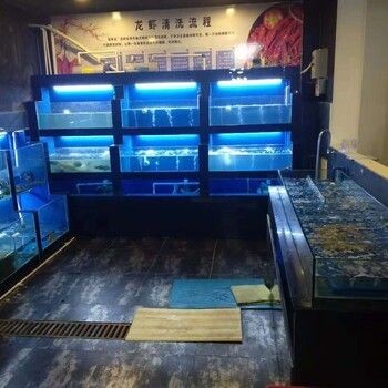 生態(tài)魚(yú)缸的設(shè)計(jì)原理是什么？：無(wú)錫鴻顏水族生態(tài)魚(yú)缸設(shè)計(jì)原理生態(tài)魚(yú)缸的設(shè)計(jì)原理