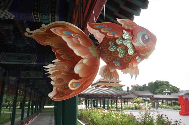觀賞魚展一般持續(xù)幾天？