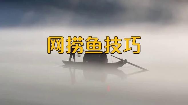 如何正確使用龍魚網撈？