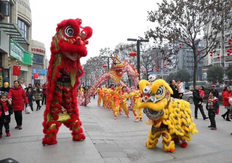 龍杯比賽的報名費用是多少？