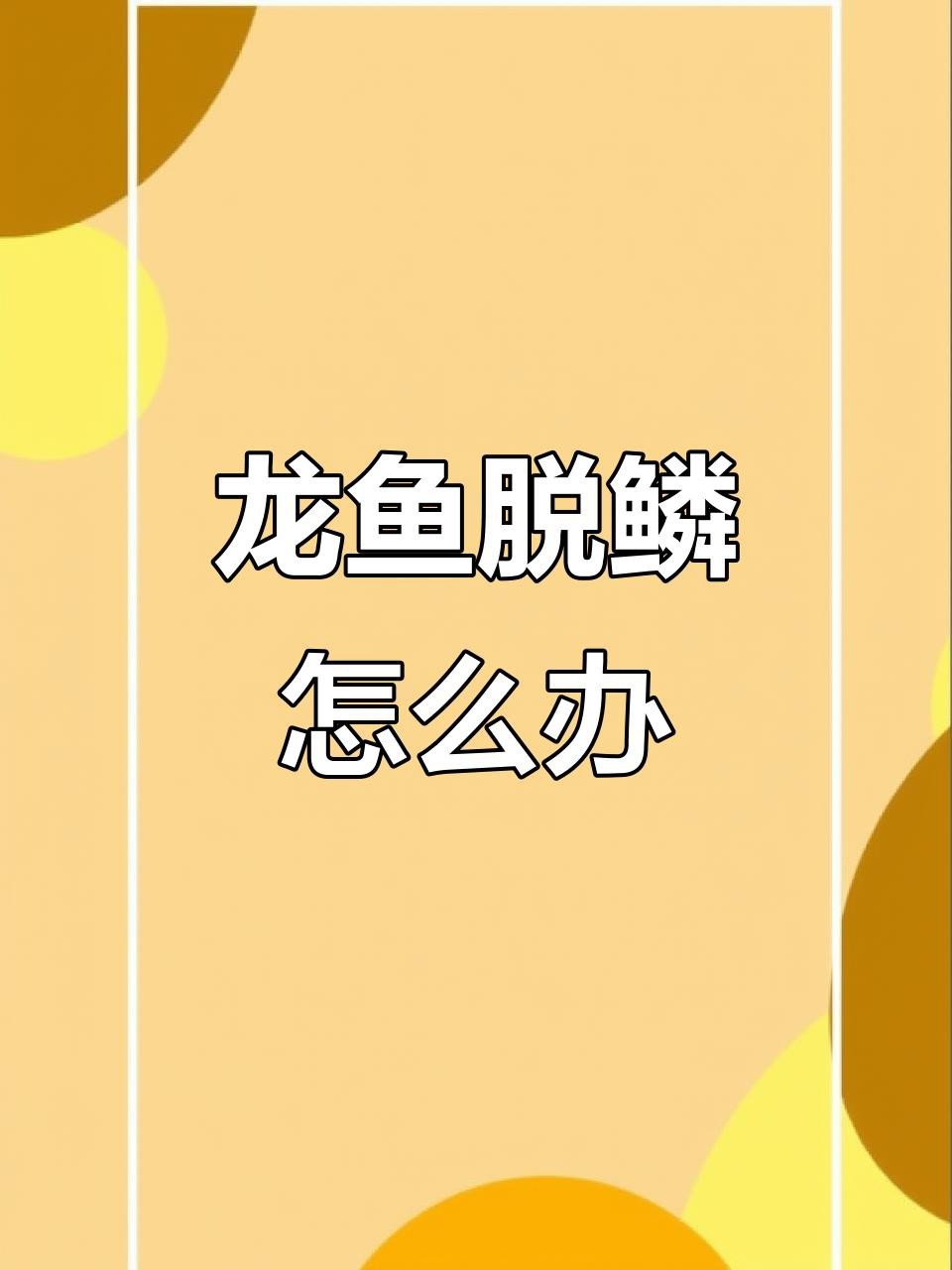 龍魚鱗片松動需要多久才能恢復？