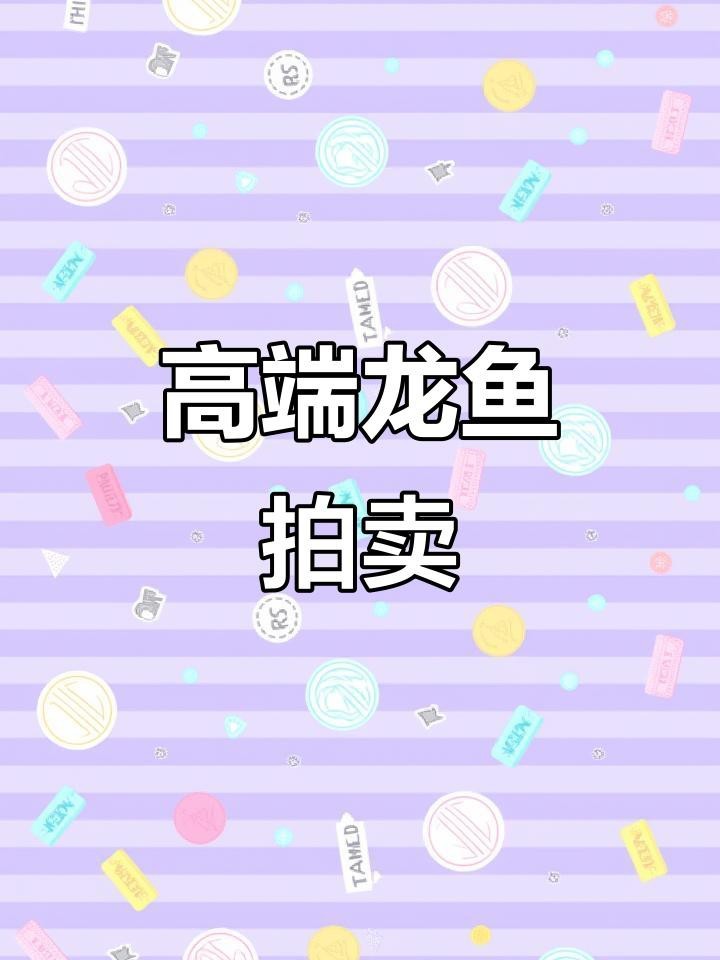 帝龍火神龍魚的價格范圍是多少？