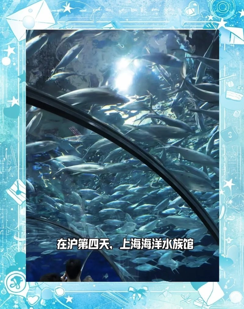 上海水族展2025有哪些看點？