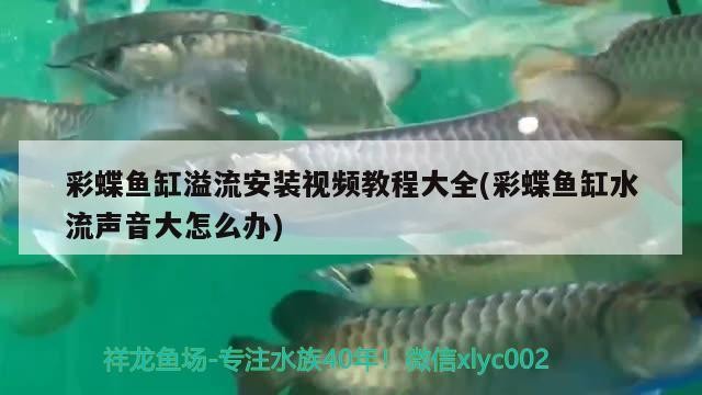 溫縣魚缸哪里有賣？如何選擇適合的魚缸？，溫縣魚缸哪里有賣如何選擇適合的魚缸如何選擇適合的魚缸