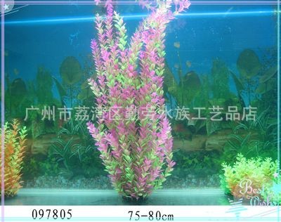 魚缸造景批發市場：廣州魚缸造景批發市場