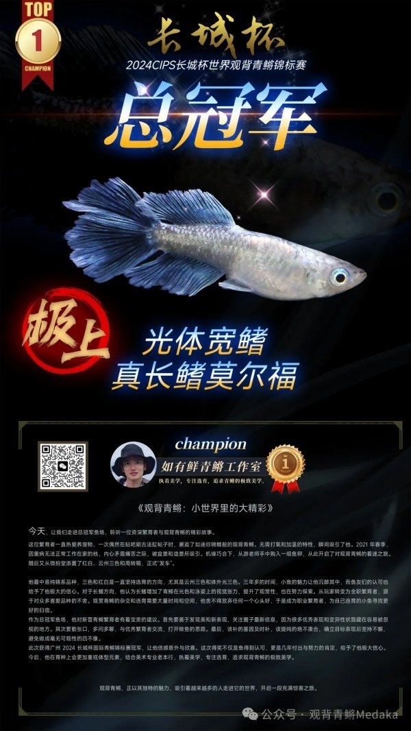 長城杯觀賞魚比賽2024冠軍