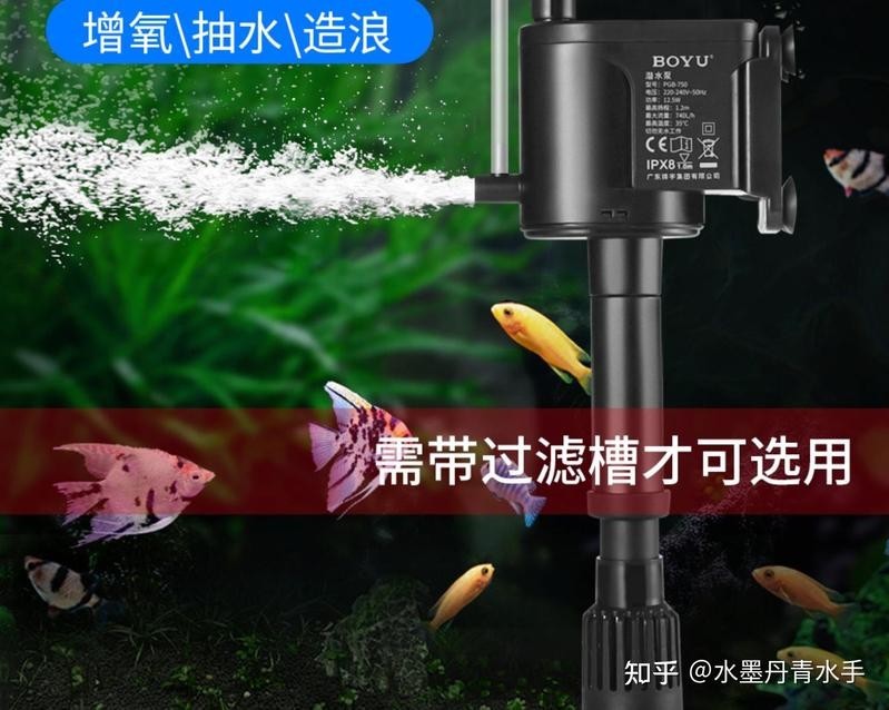 龍魚比賽水泵的選購技巧