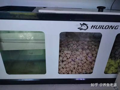 魚缸底濾的設(shè)計原理是為了提供高效的物理過濾和生物過濾：清洗底濾魚缸管件的一些步驟和技巧