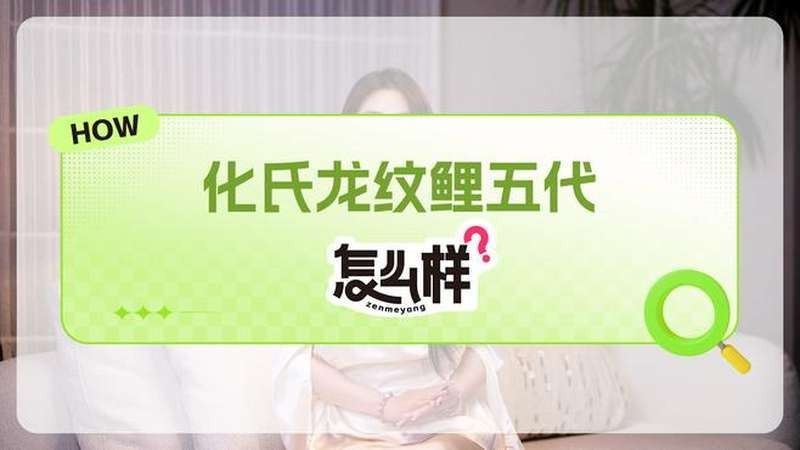 長節龍紋鯉釣魚視頻