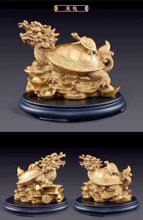 鎮宅龍龜擺放圖片
