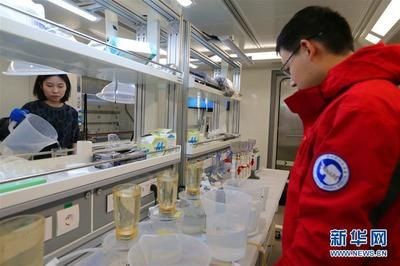 雪龍魚養殖科研數據查詢：深遠海設施養殖和三文魚養殖的相關信息