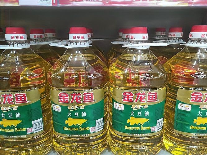 金龍魚官方對此事有何回應？