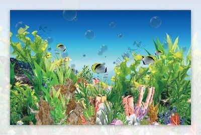 養龍魚的缸粘風景背景圖好嗎：養龍魚的缸粘風景圖有一定的優點，但也有需要注意的地方