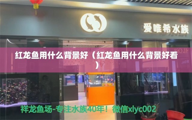南昌市東湖區國泰花卉寵物店
