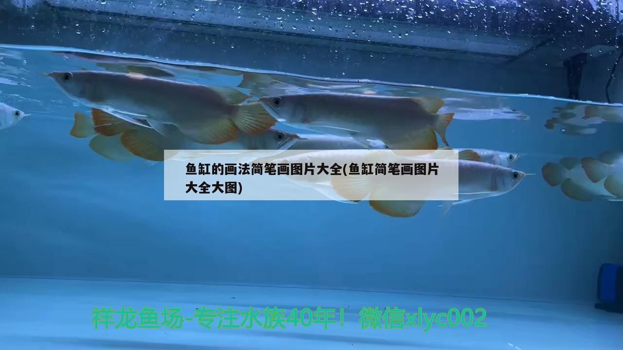 平羅縣花之戀花卉店