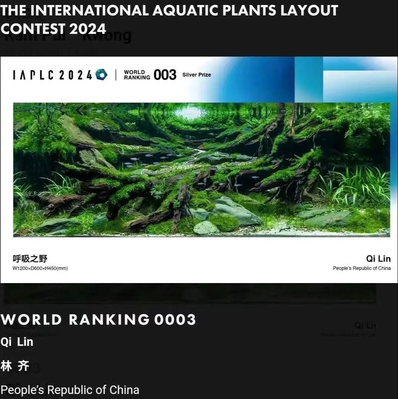 如何查詢2024年長城杯金質獎的獲獎名單？