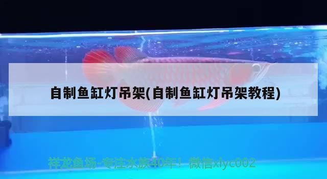湖南駿馳水族有限公司