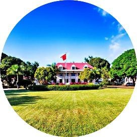 蝴蝶魚的圖片