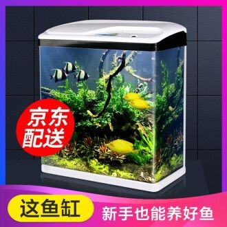 浮法玻璃魚缸的使用壽命如何選擇?:浮法玻璃膠使用壽命大約在8-10年左右,浮法玻璃膠使用壽命 魚缸百科 第3張 浮法玻璃魚缸的使用壽命如何選擇?:浮法玻璃膠使用壽命大約在8-10年左右,浮法玻璃膠使用壽命 浮法玻璃魚缸的使用壽命如何選擇?:浮法玻璃膠使用壽命大約在8-10年左右,浮法玻璃膠使用壽命 魚缸百科 第3張