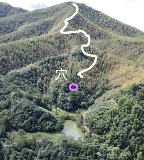 陰宅風(fēng)水圖片大全 龍魚論壇 第15張 陰宅風(fēng)水圖片大全 陰宅風(fēng)水圖片大全 龍魚論壇 第15張