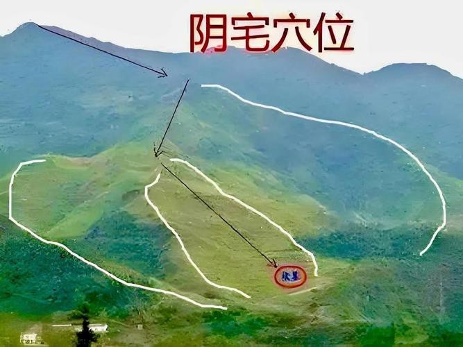 陰宅風(fēng)水圖片大全 龍魚論壇 第23張 陰宅風(fēng)水圖片大全 陰宅風(fēng)水圖片大全 龍魚論壇 第23張