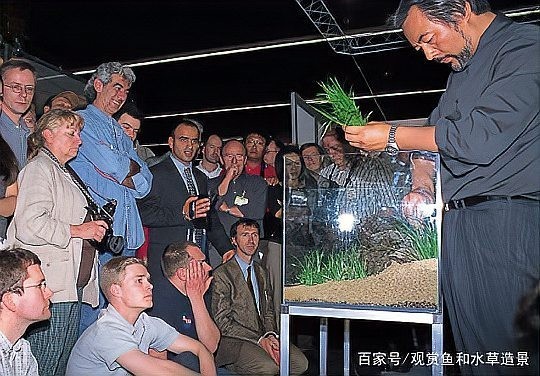 世界草缸造景大賽的參賽規(guī)則是什么