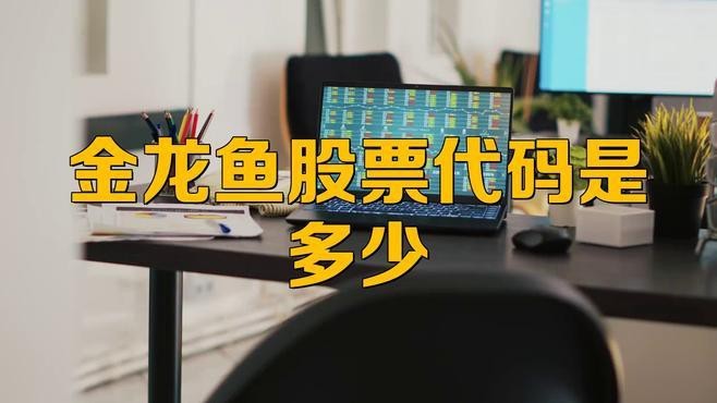 金龍魚的主營業務有哪些？