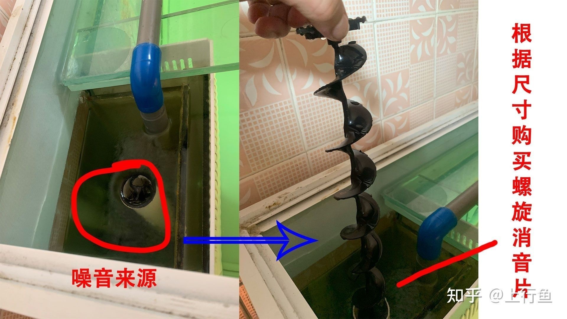 魚缸噪音控制的科學原理：底濾魚缸噪音對魚兒的影響