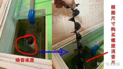 魚缸噪音控制的科學原理：底濾魚缸噪音對魚兒的影響