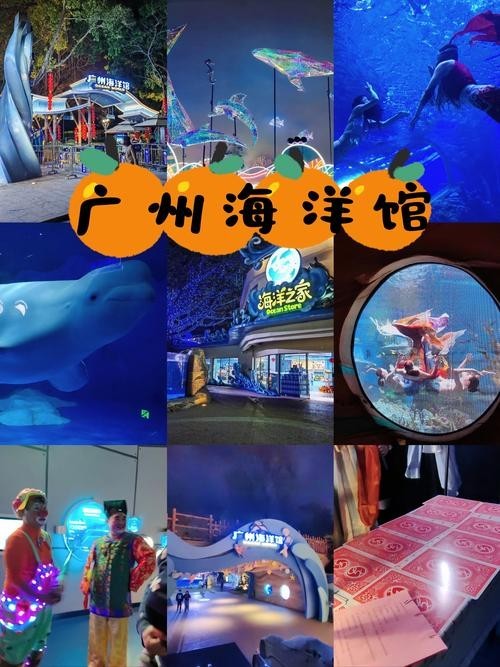 如何獲取廣州水族展的門票信息？